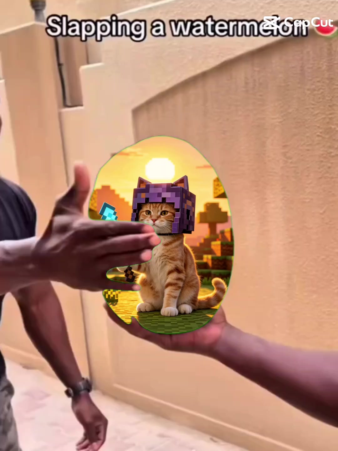 @pechuguin 🐈😸🐱😺🍪🥛♥️🦖