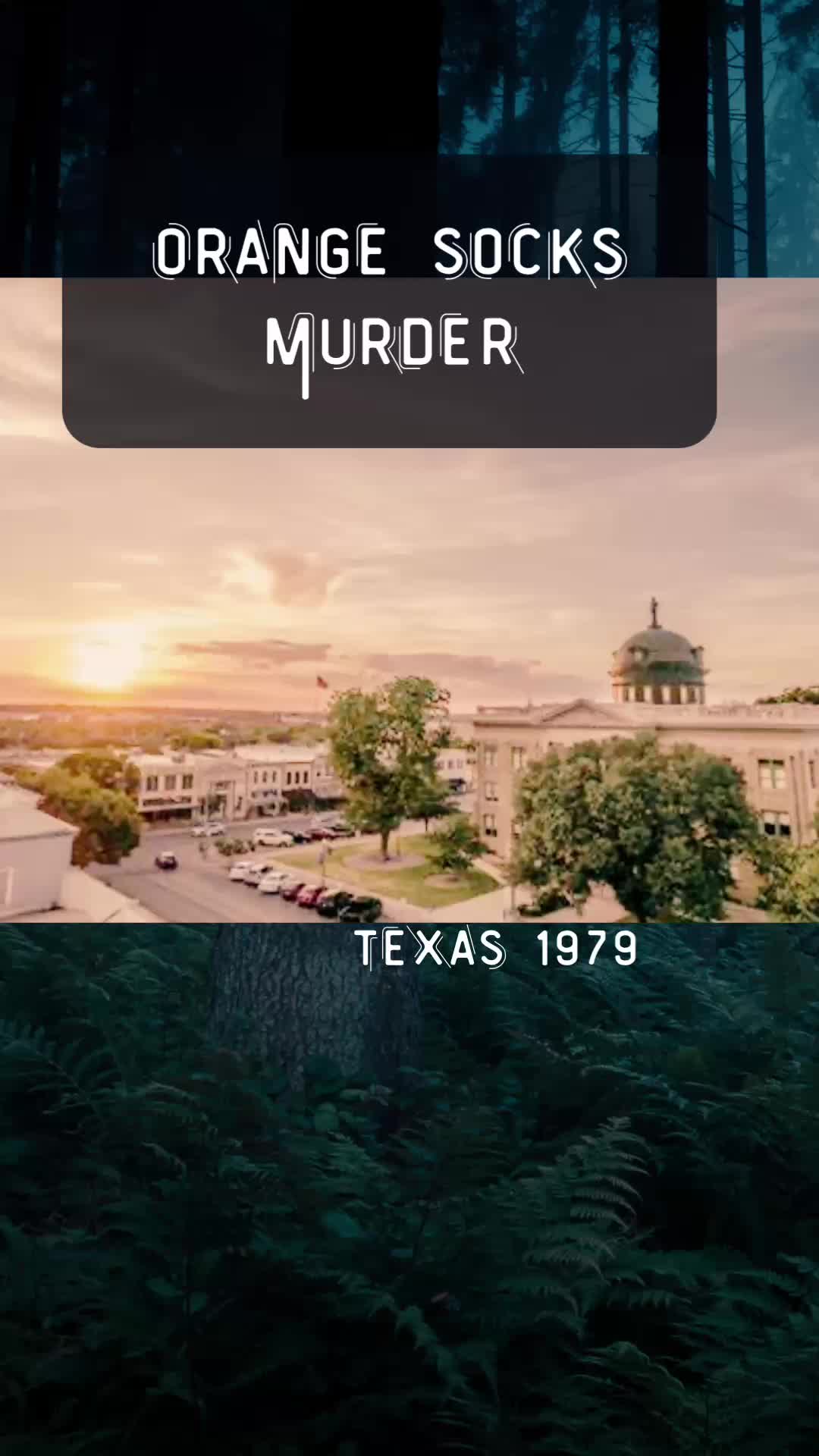 @Murders at Midnight