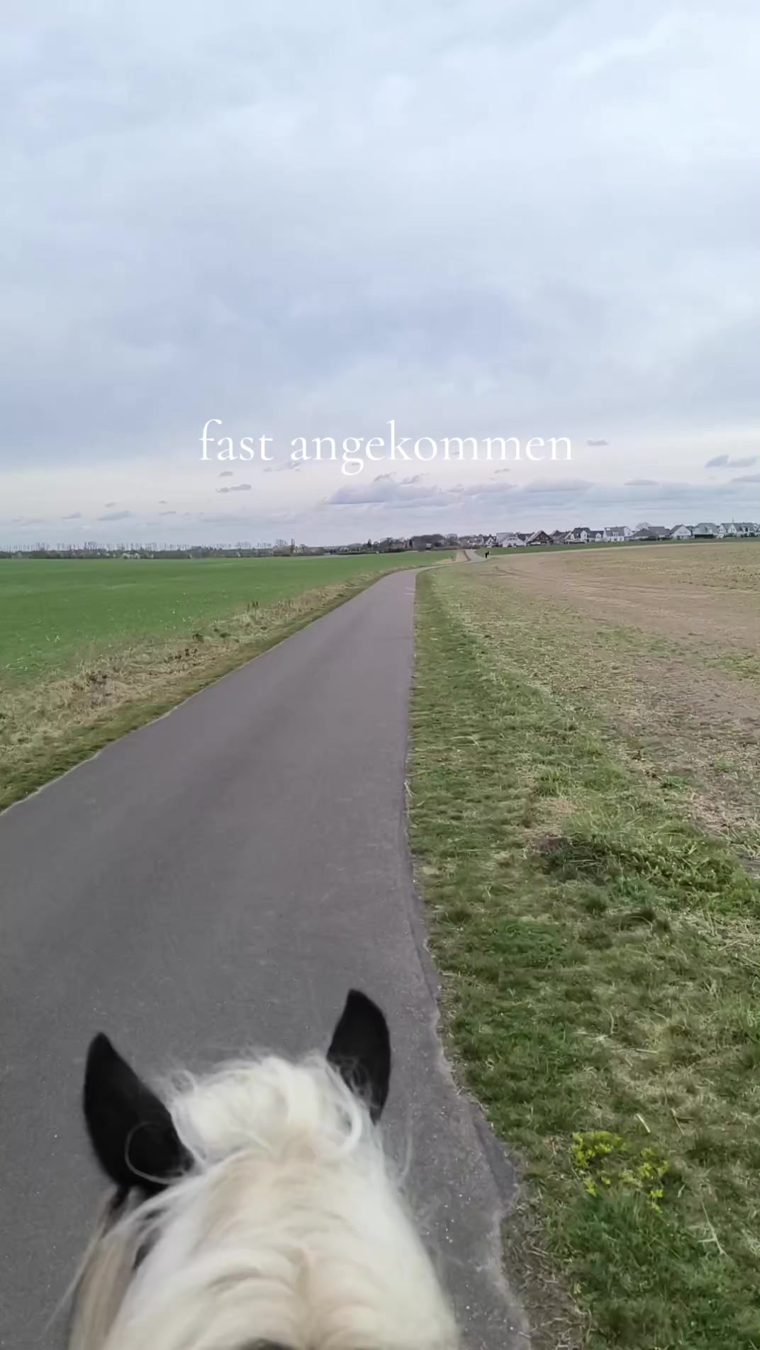 @Knallt&uuml;te