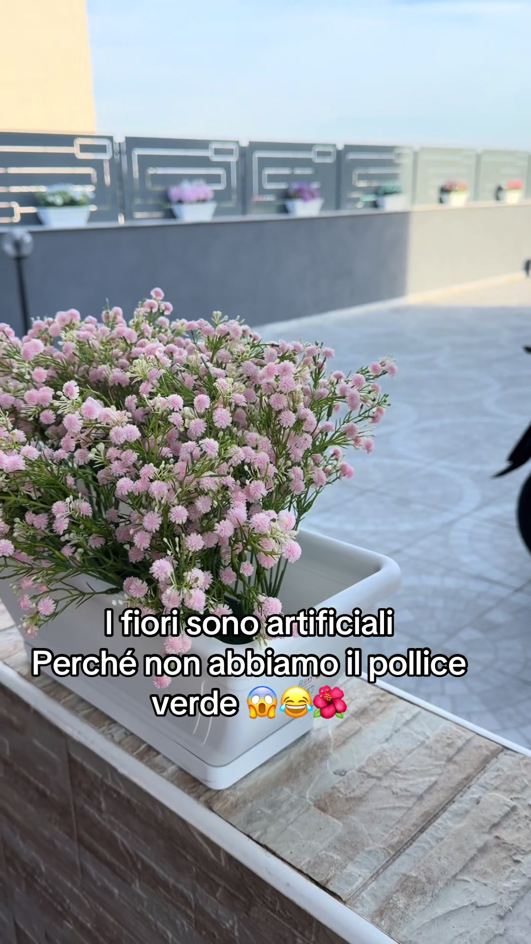 @Loredana lucarelli
