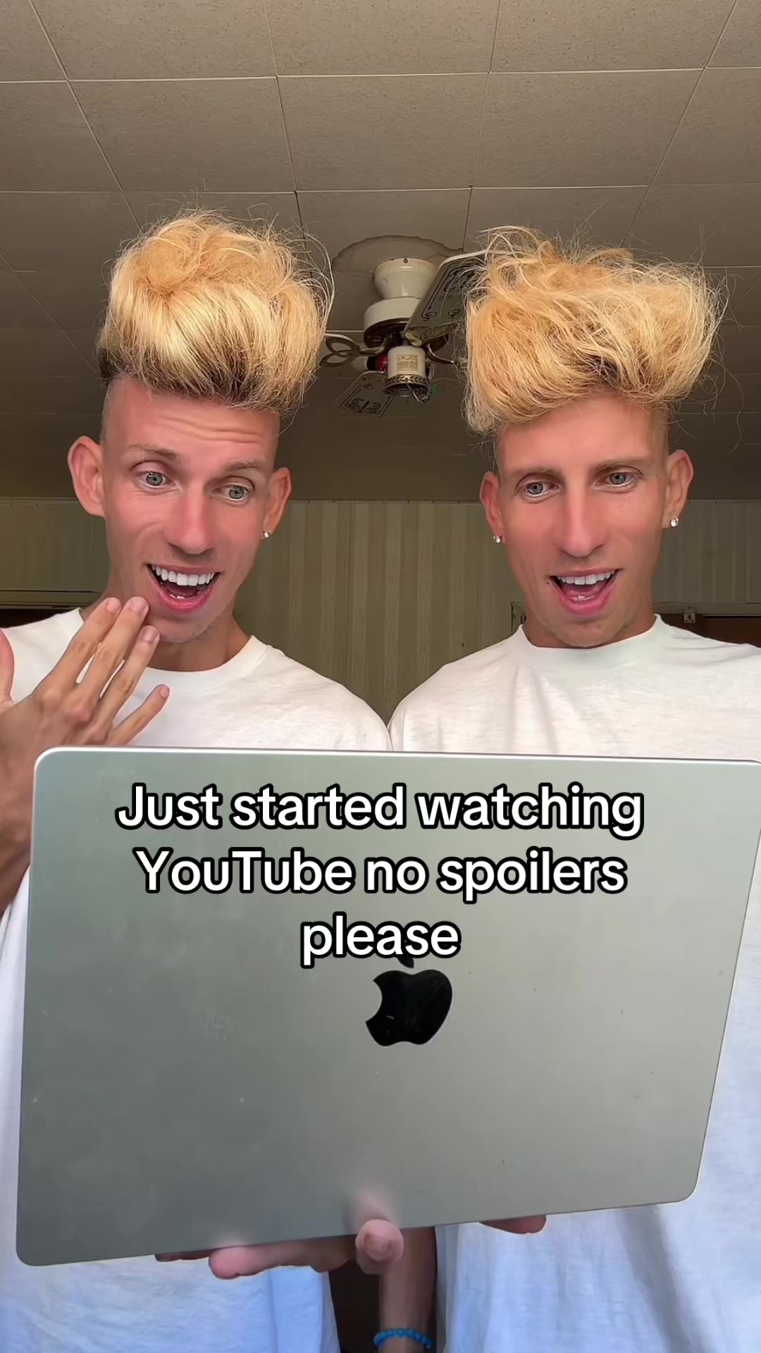 @vorostwins