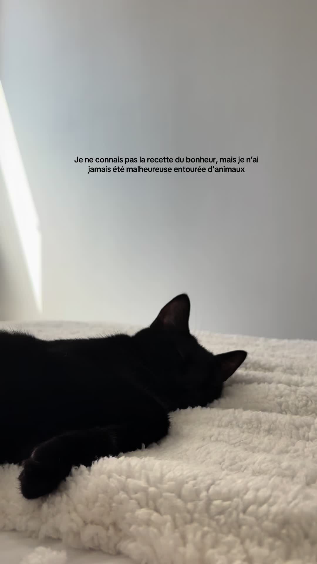 @𝖠𝖯𝖱𝖨𝖫 𝖠𝖱𝖨𝖠 𝖡𝖠𝖧𝖨𝖠