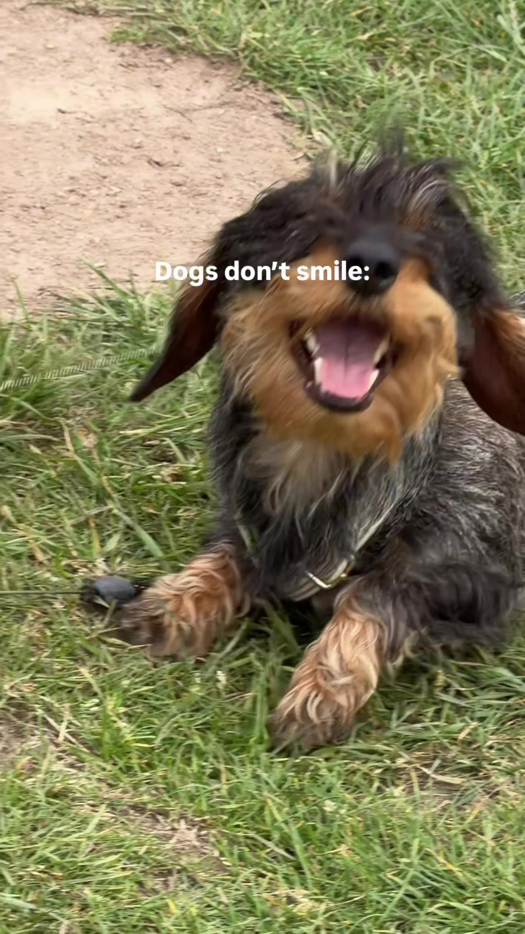 @lifeoflunabowie