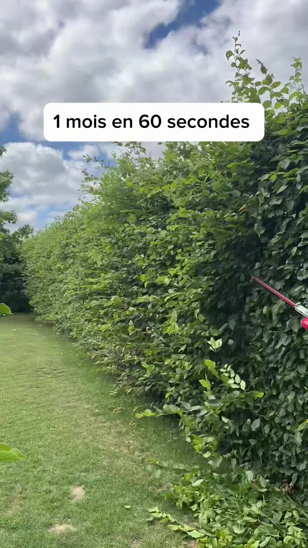 @Steve Le Jardinier