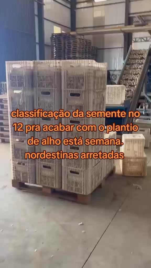 @anne jucielle