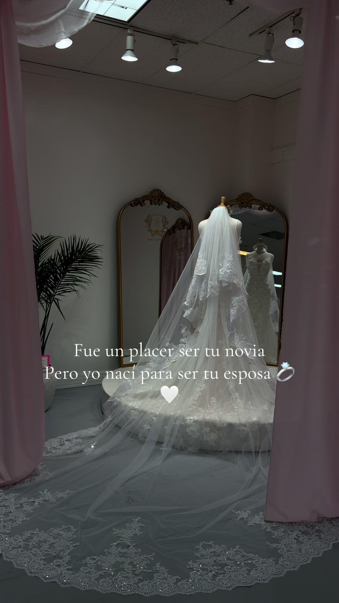 @Bella Esposa