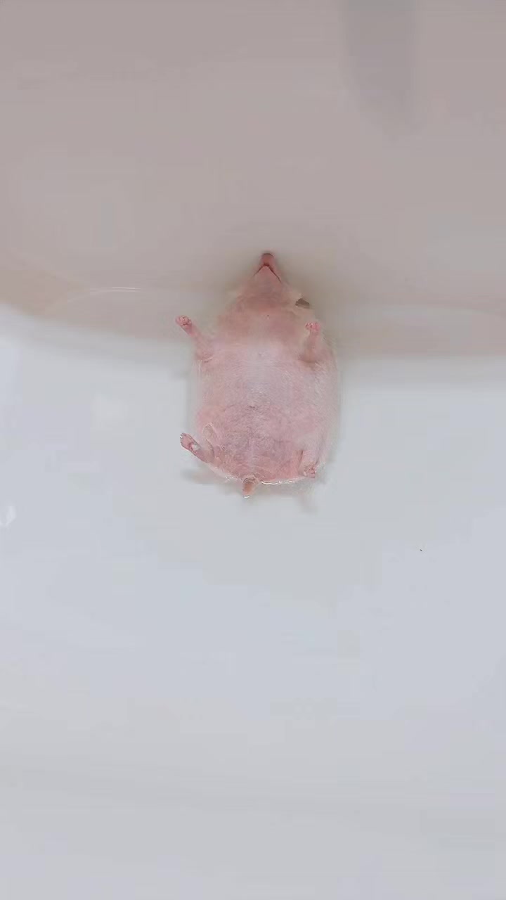 @ðŠãã«ããðŠ