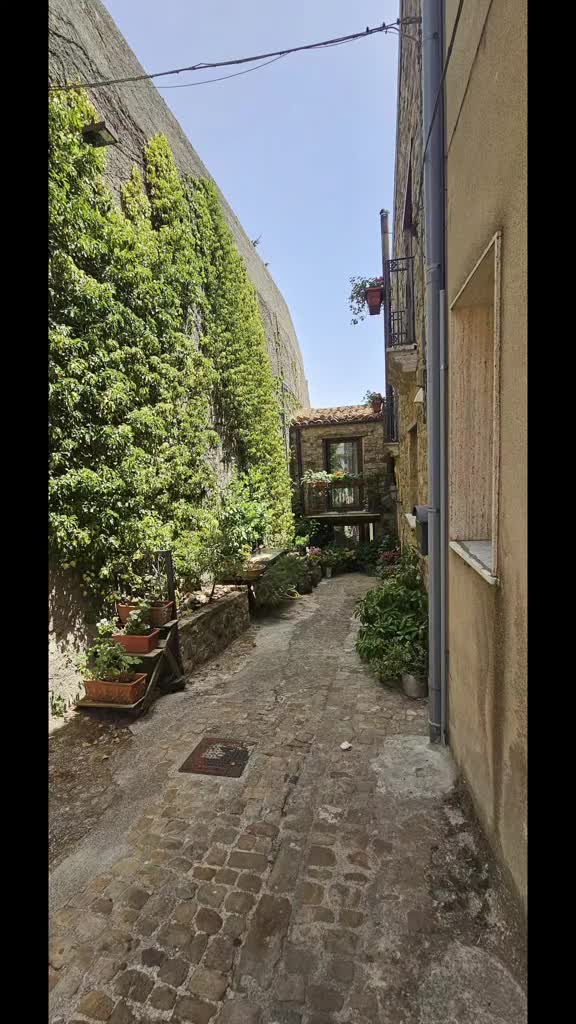 @Angelo Il Leone
