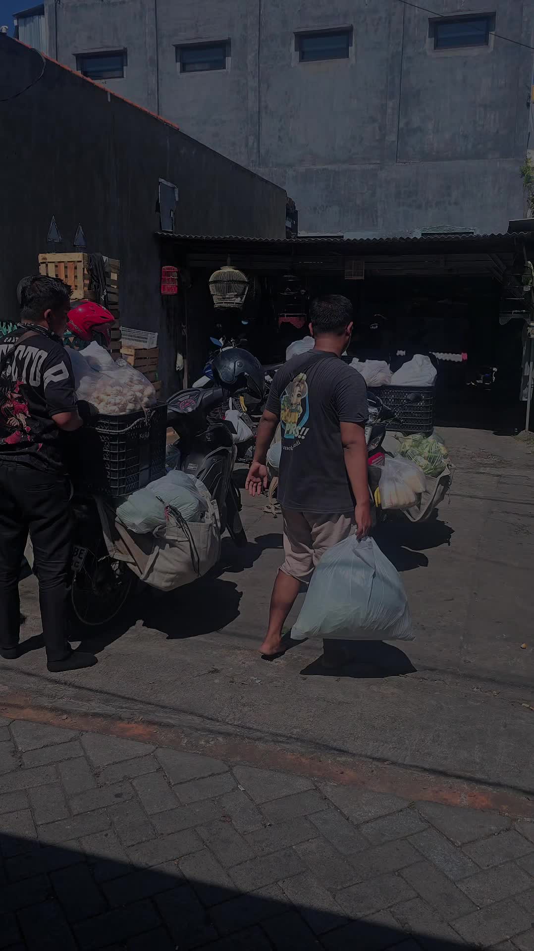 @supplier sayur dan buah sby
