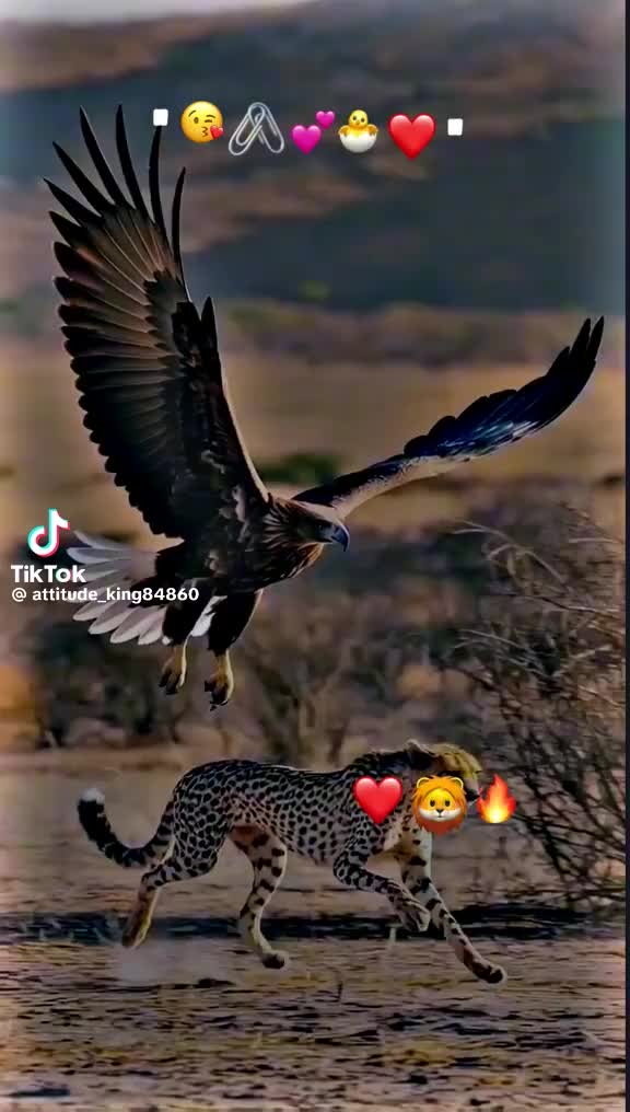 @Shani Mehar 5566