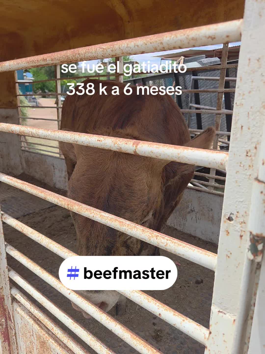 @BarbaCerrada0519