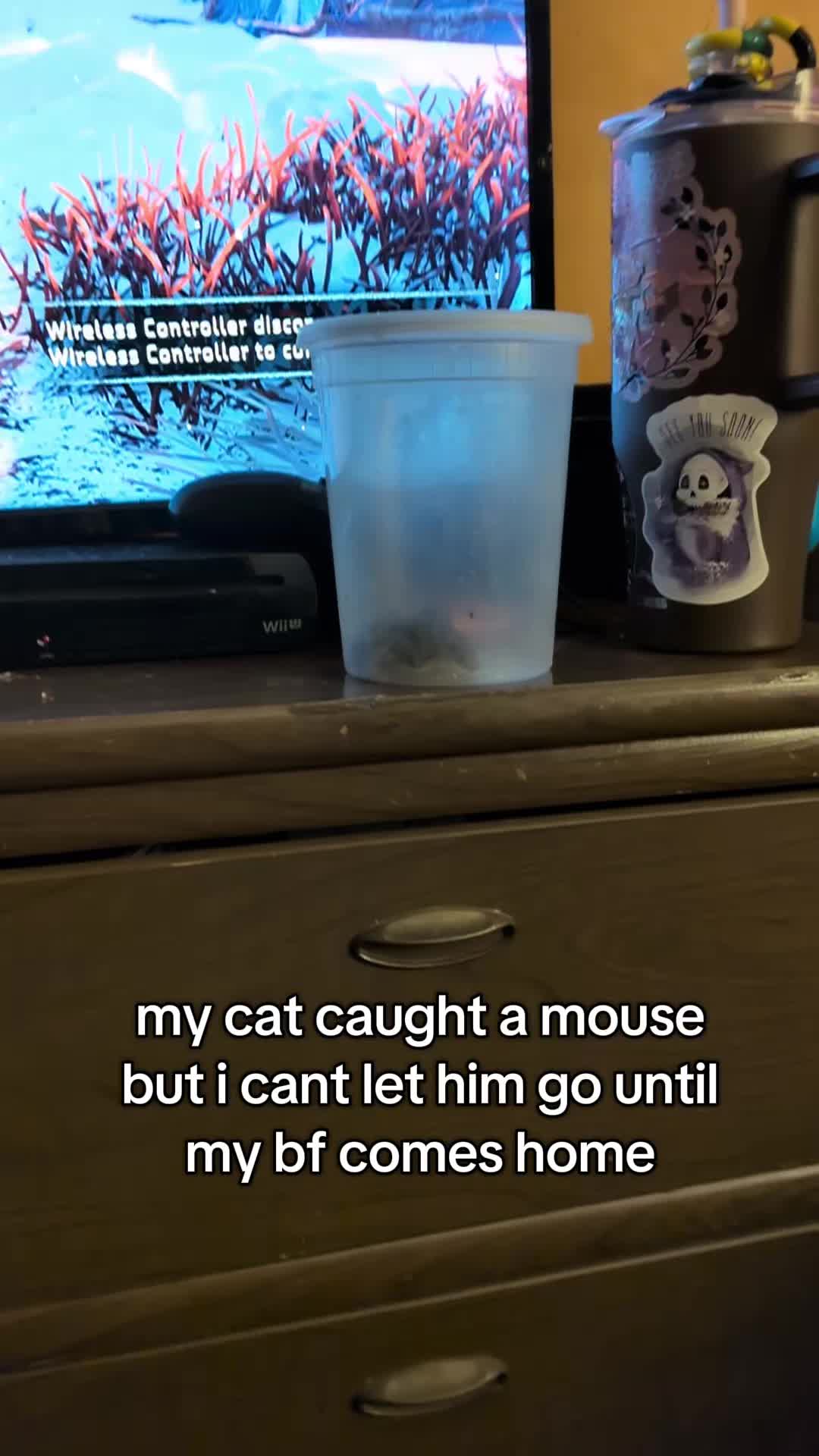 @mothy