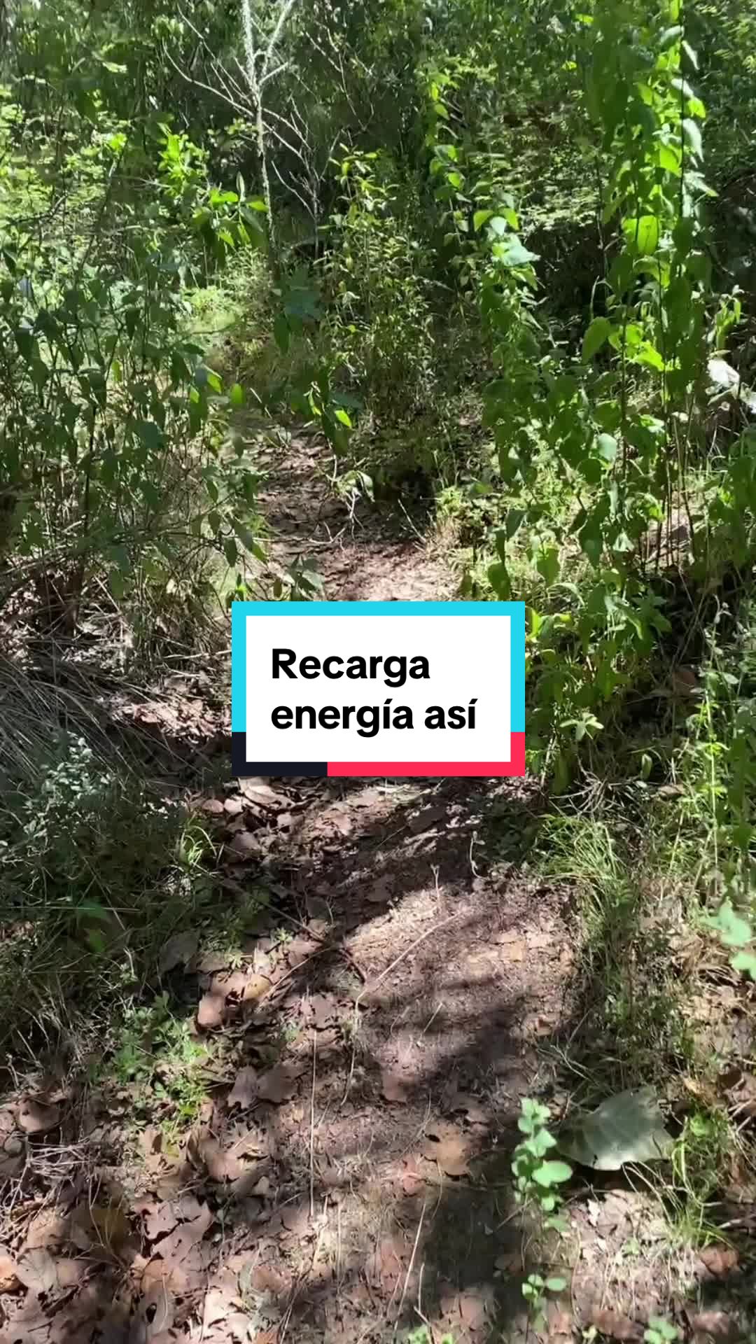 @Rompe el Muro