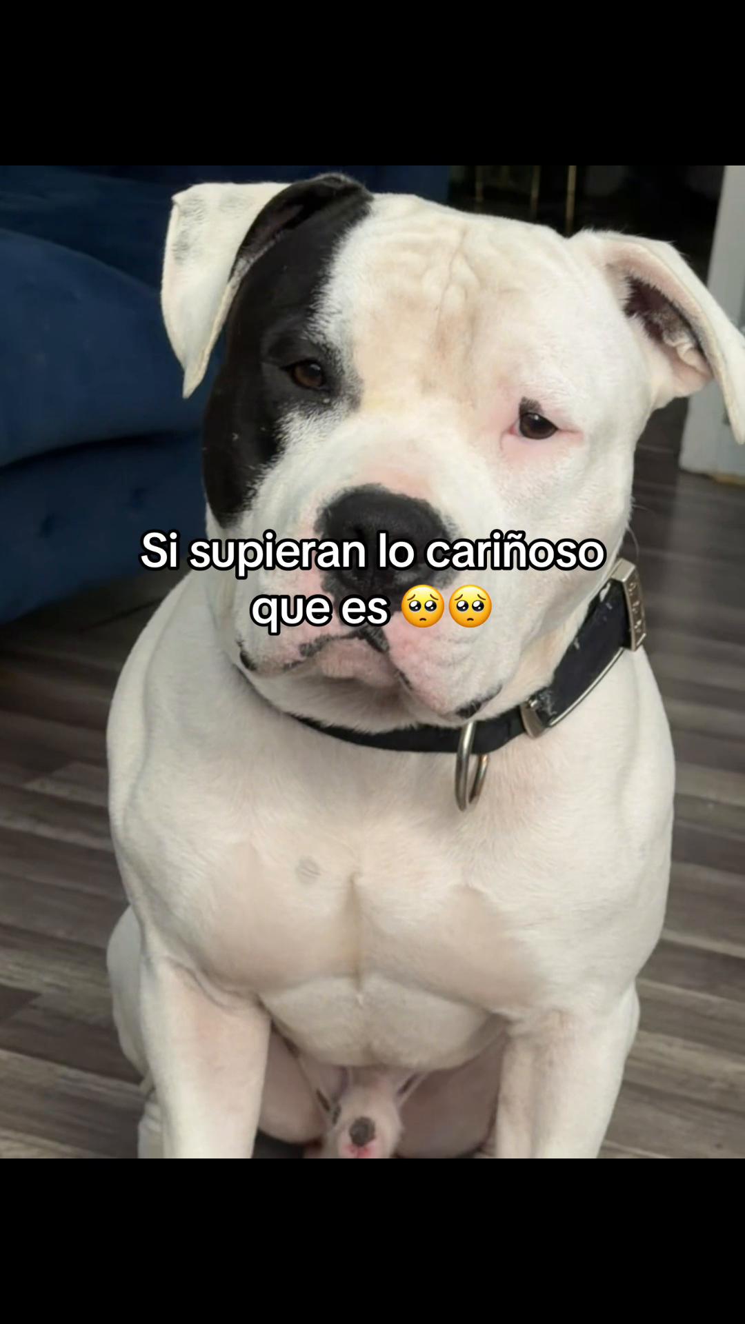 @Katia Diaz