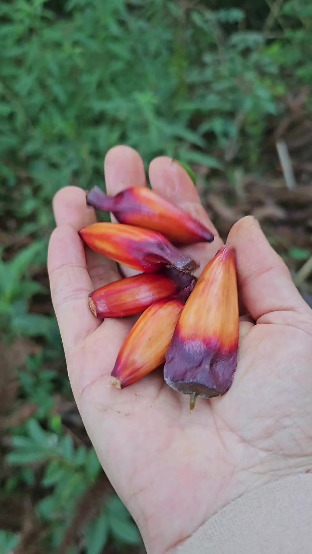 @Feito a M&atilde;o DIY Sustent&aacute;vel 🌱