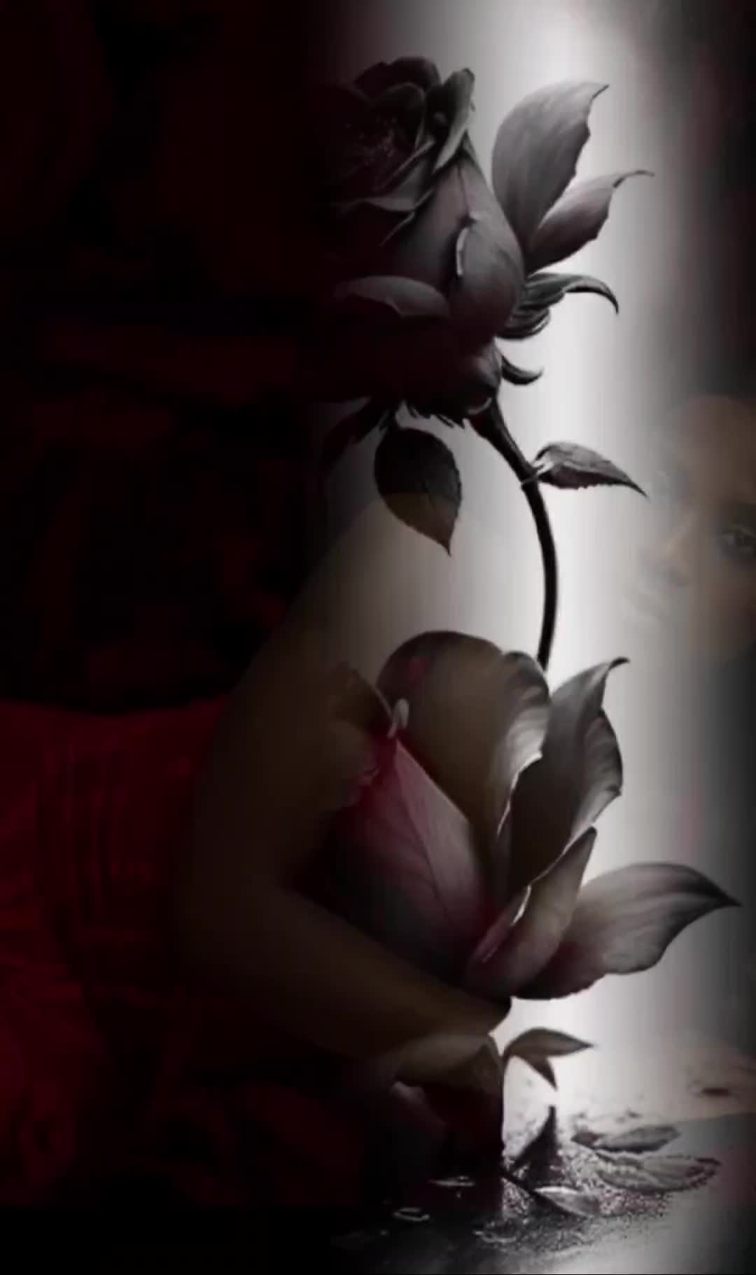 @fannierobinson315