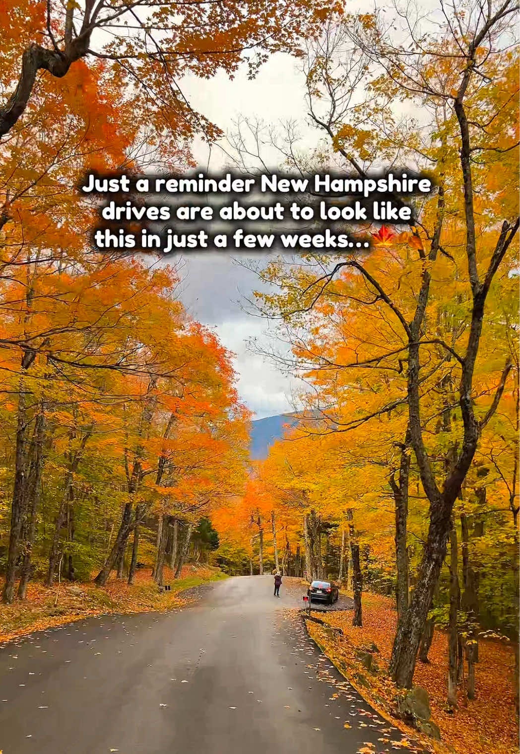 @Purplehighways