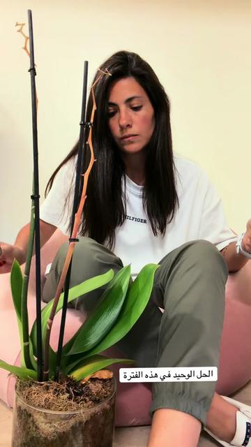 @Fatina / فاتنة