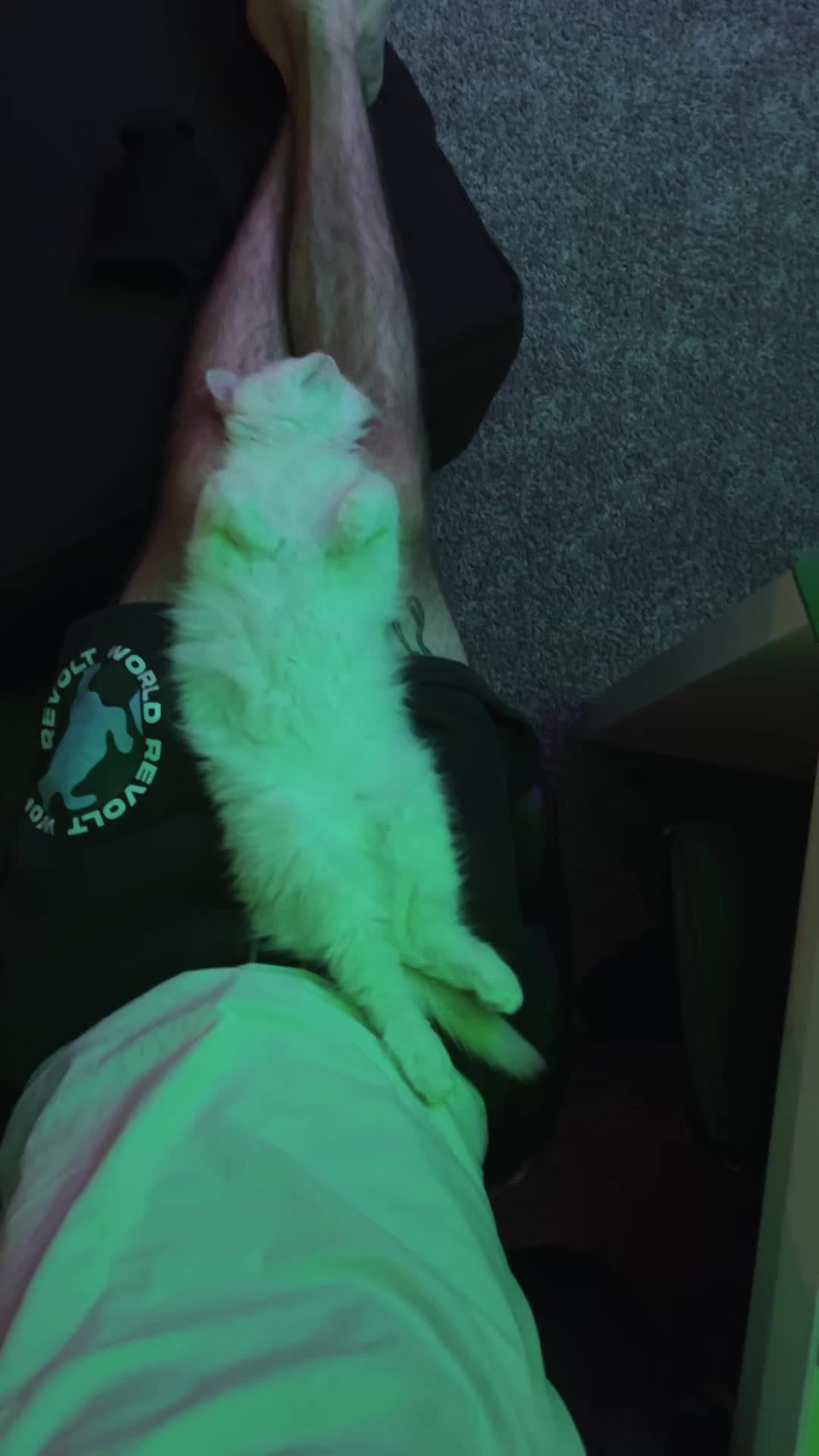 @sugarbottomkittybutton