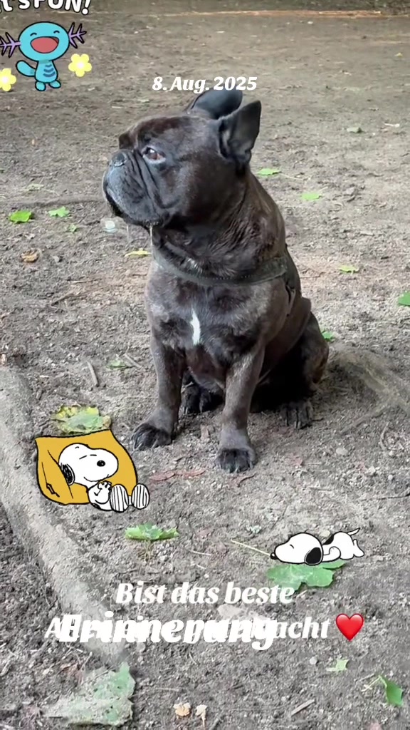 @The_chaos_frenchi