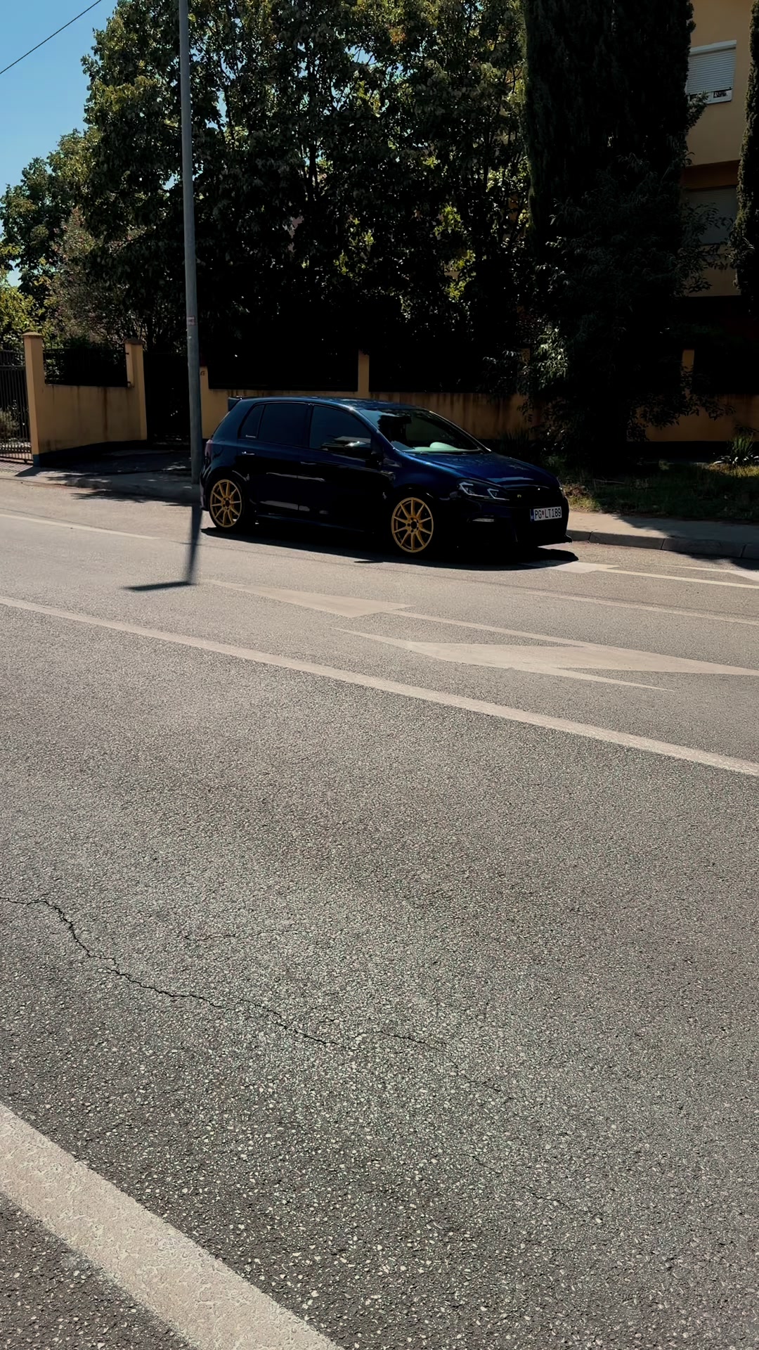 @plavasestica
