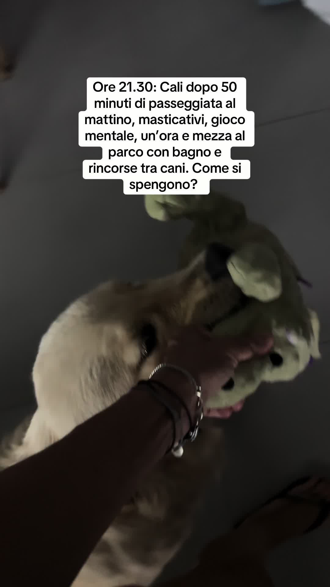 @Raffa&Cali
