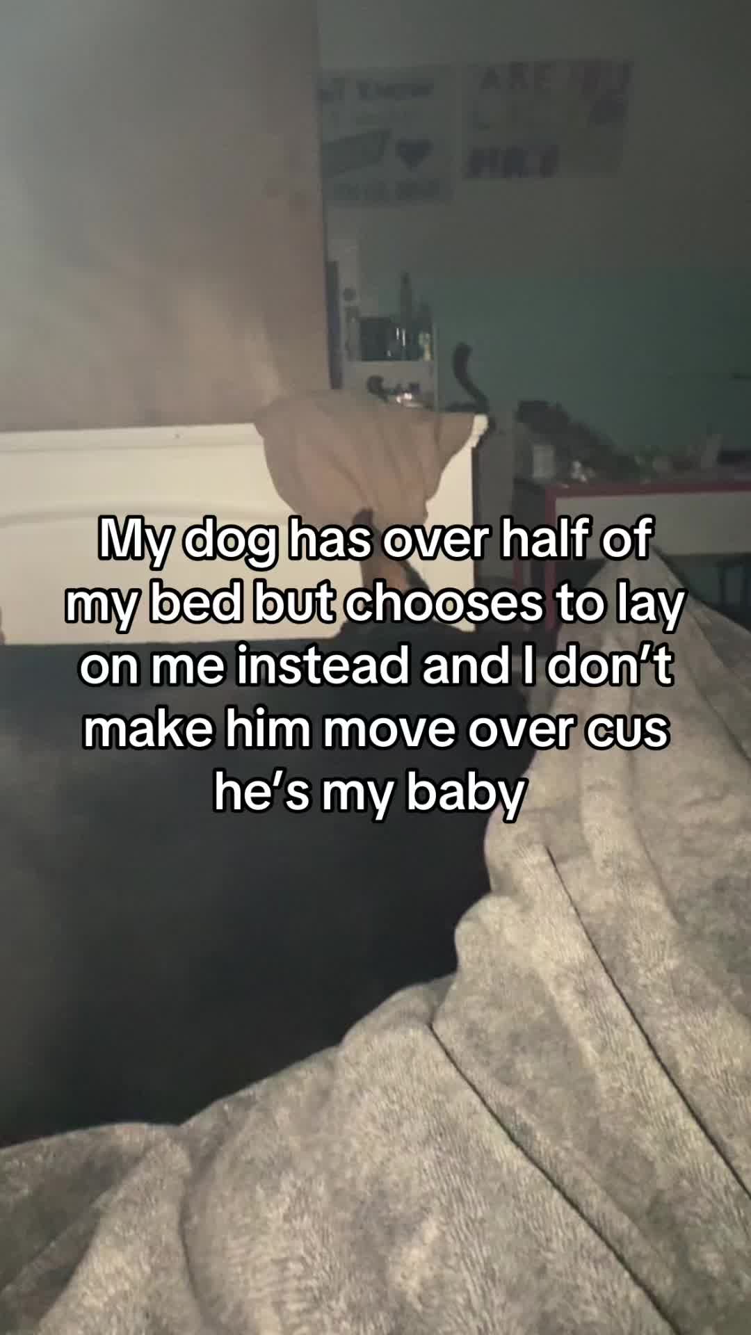 @ɐıΛ🧟♀️