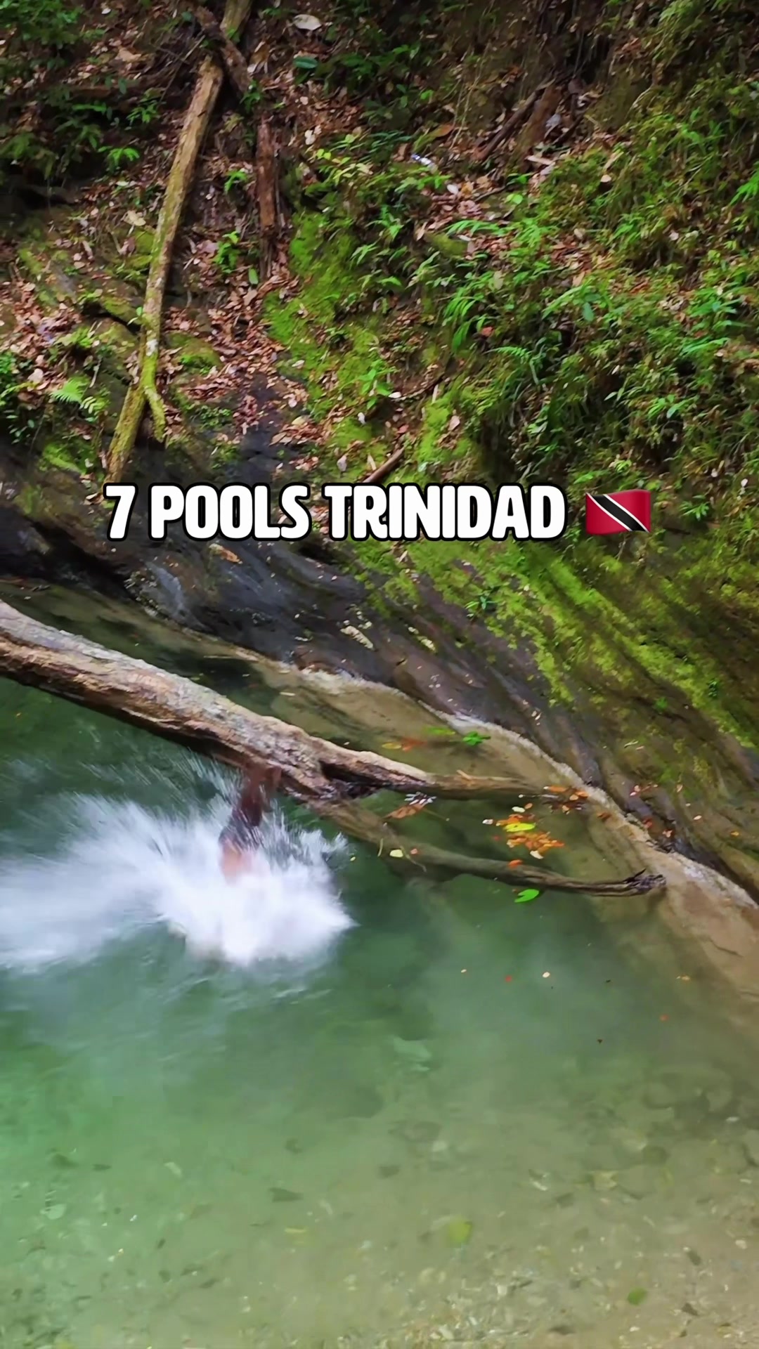@Trini Surfer&trade;️🇹🇹
