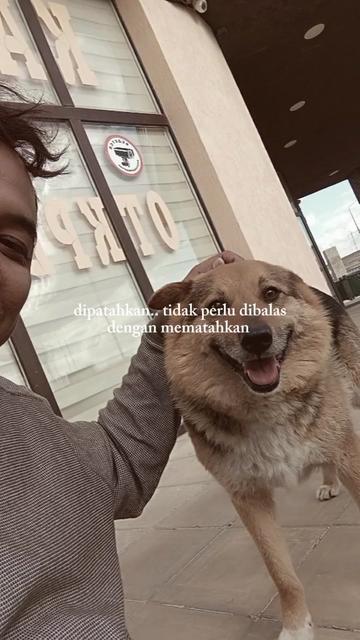 @satria 🇲🇨 🇷🇺