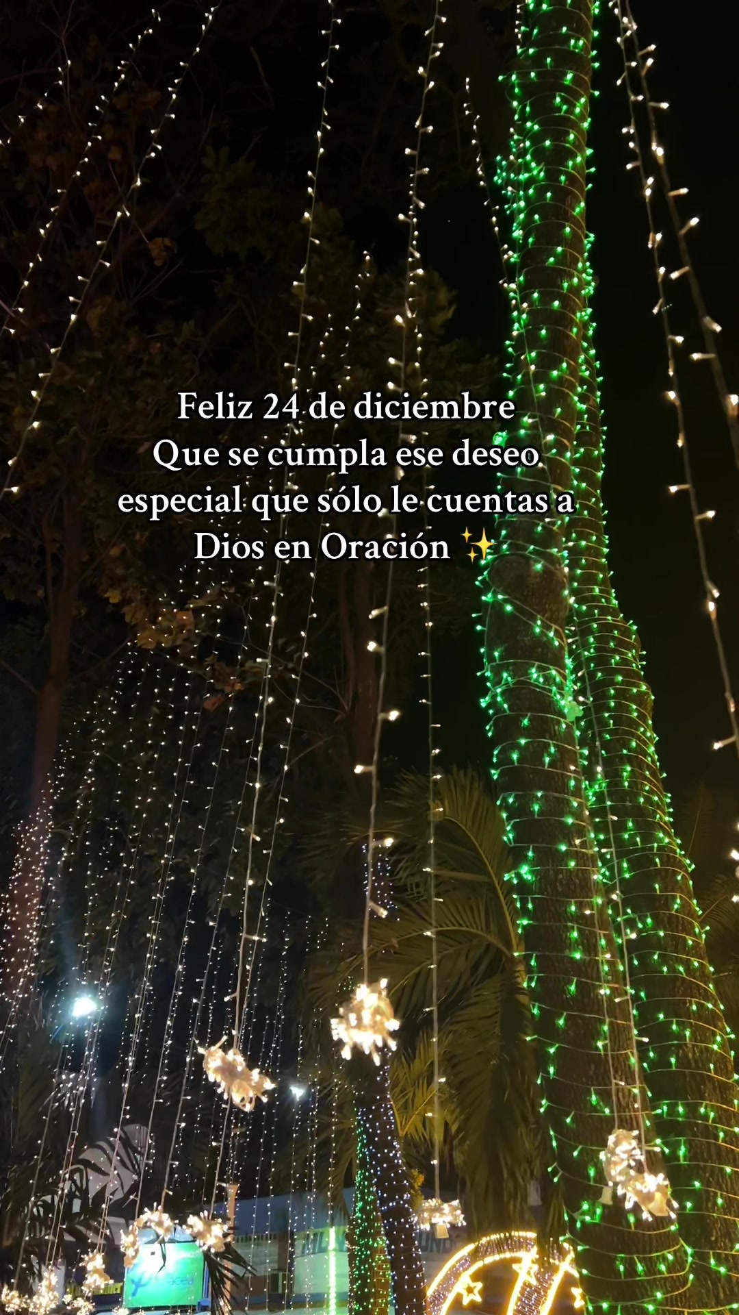 @Siempre Navidad