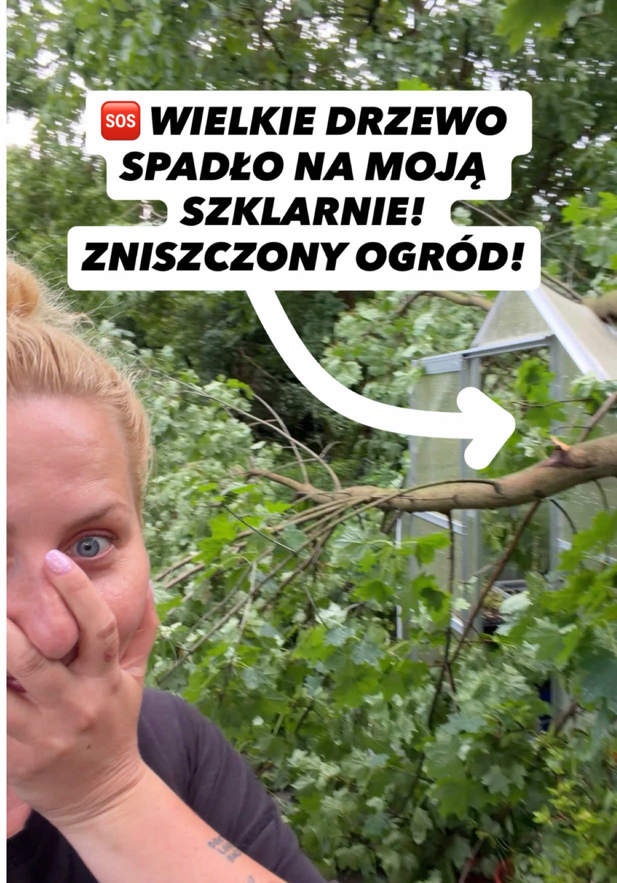 @ivoadventures