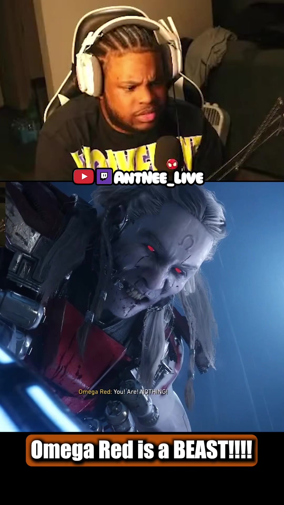 @AntNee Live
