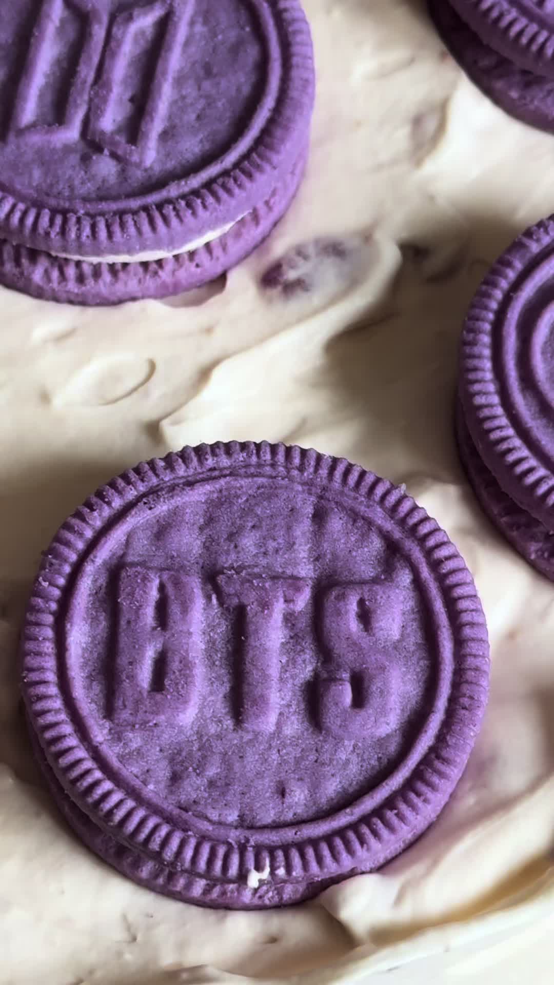 @벡🐶𝗕𝗲𝗰𝗸