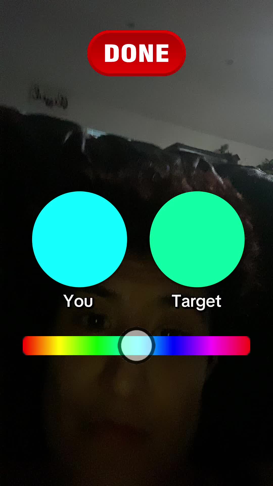 @theresaslaytersayian34
