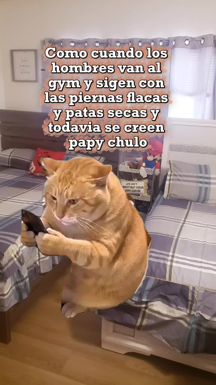 @Maday Gonzalez