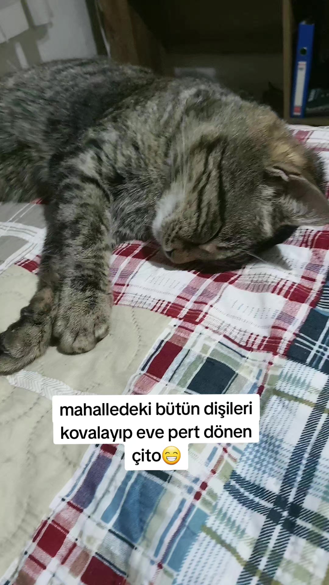 @kuzey