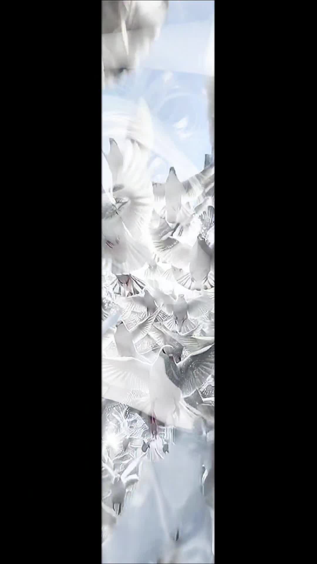 @xioms