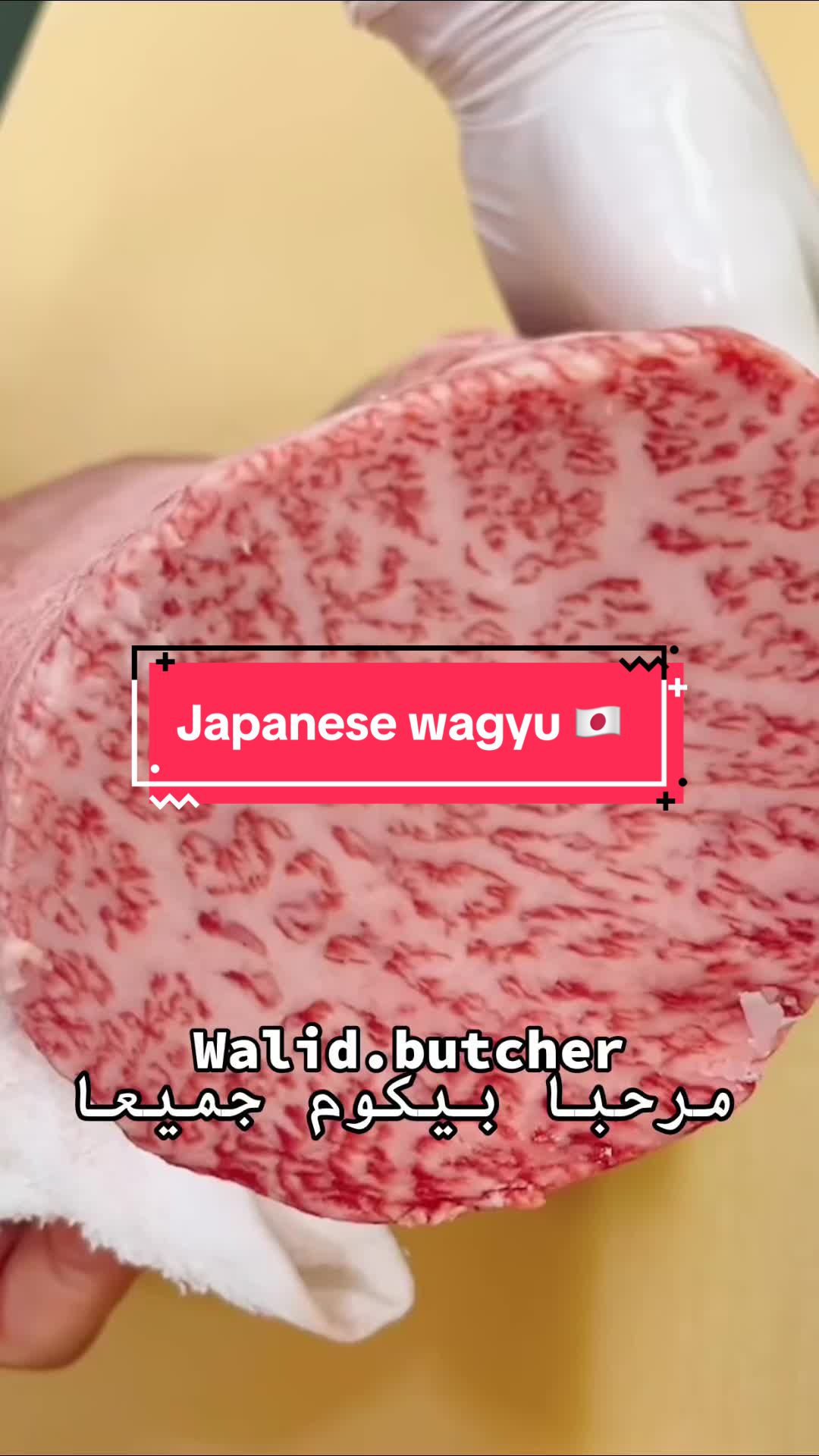 @Walid 🥩🥩&🥩🥩butcher
