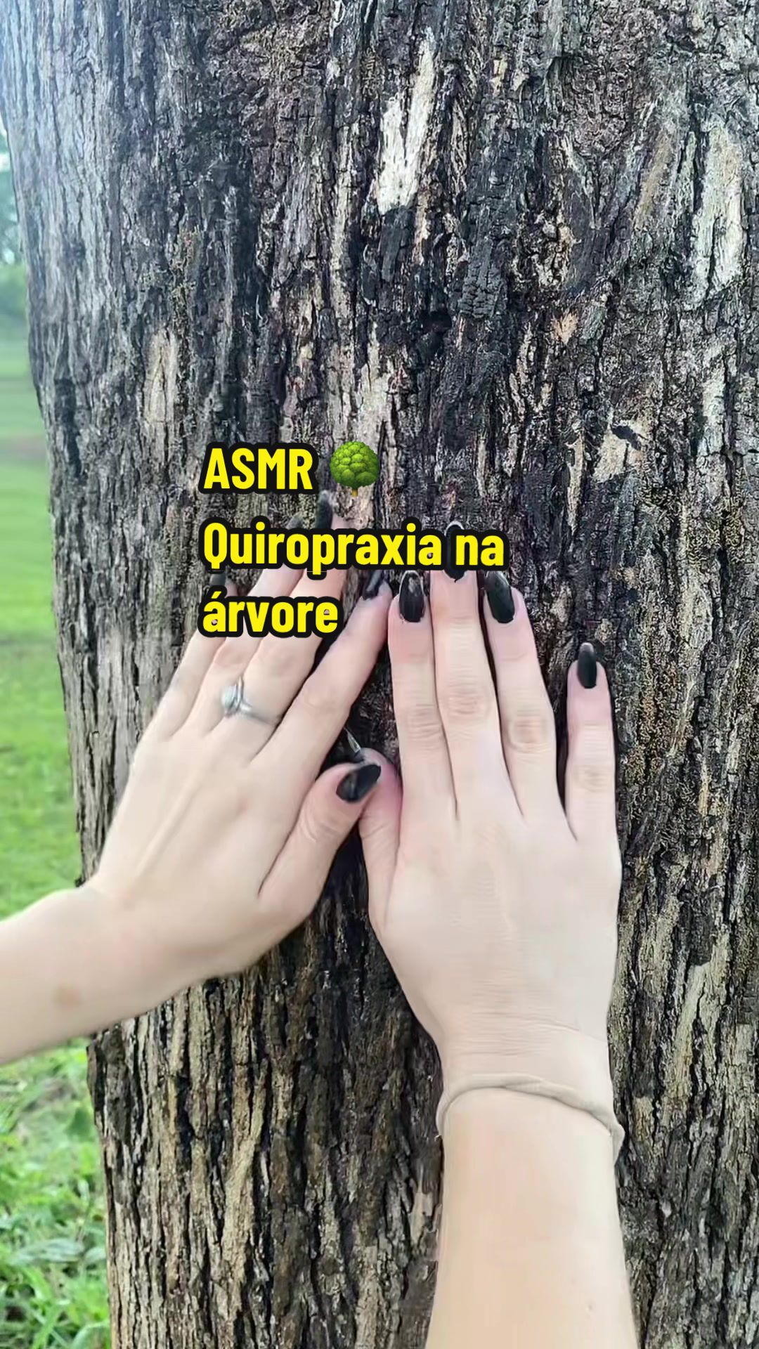 @ASMR Brisa