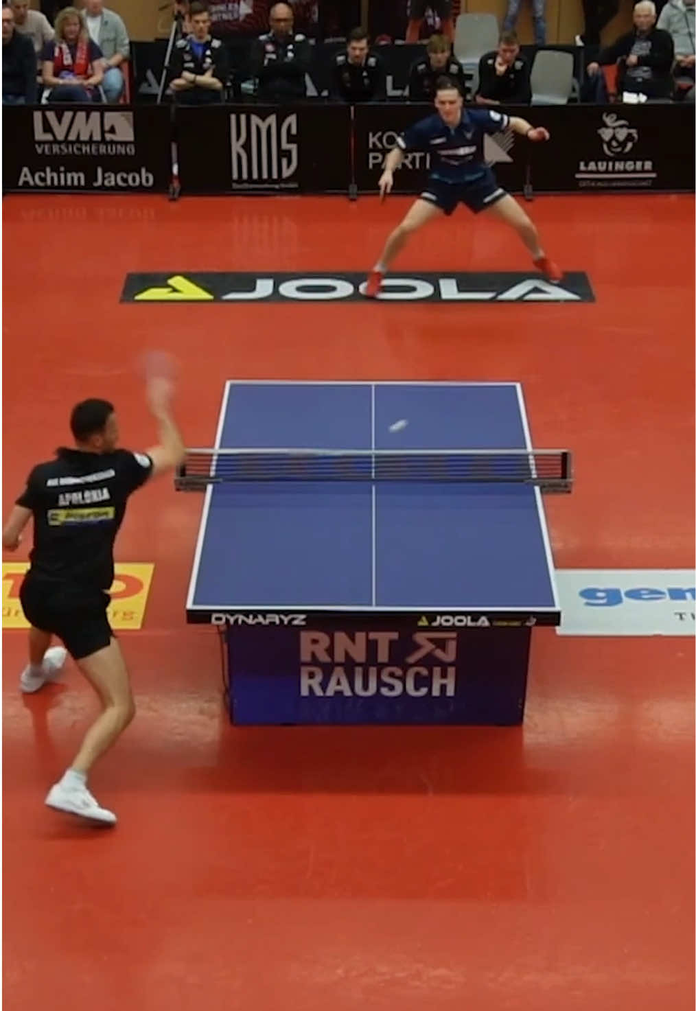 @Tischtennis Bundesliga
