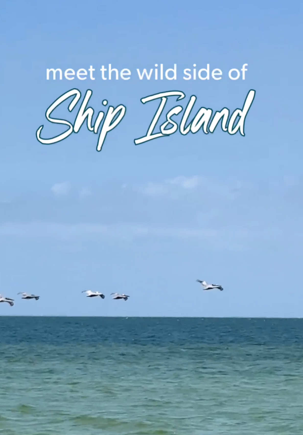 @Coastal Mississippi