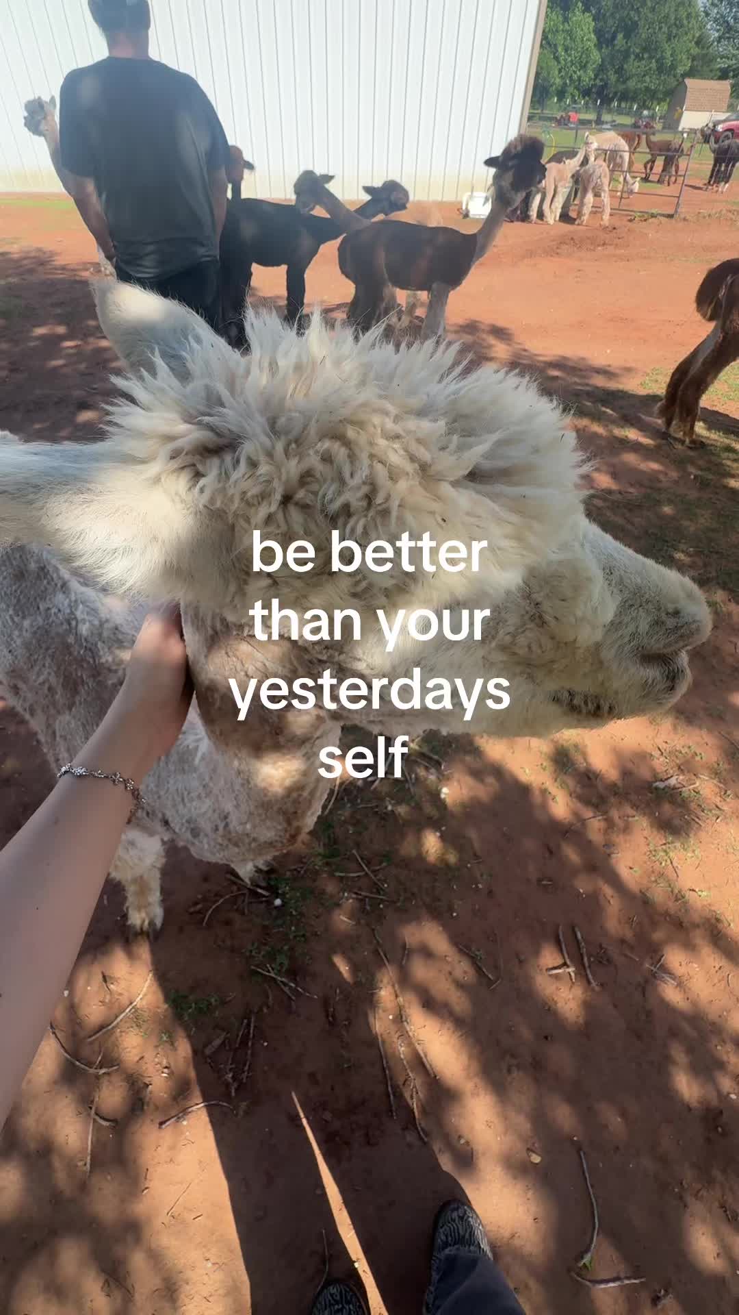 @bbyveli7