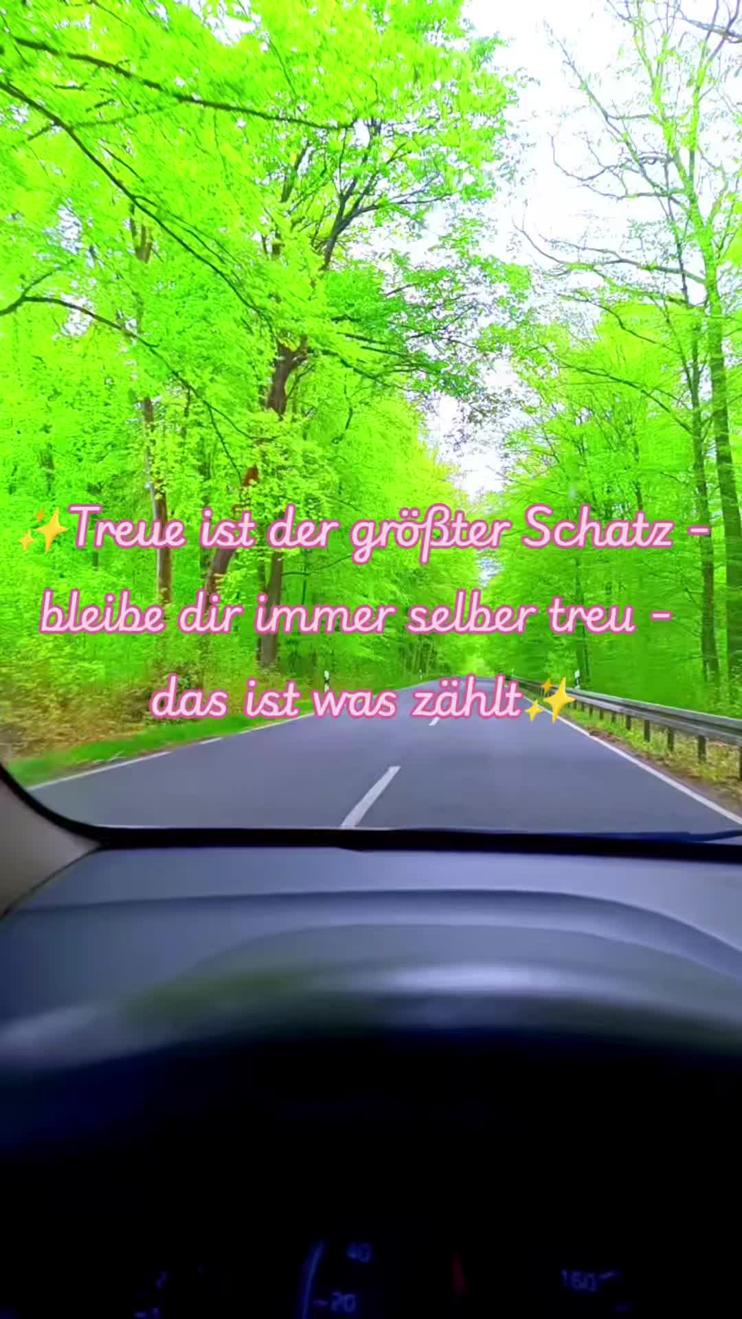 @Rainbowshit13🌺