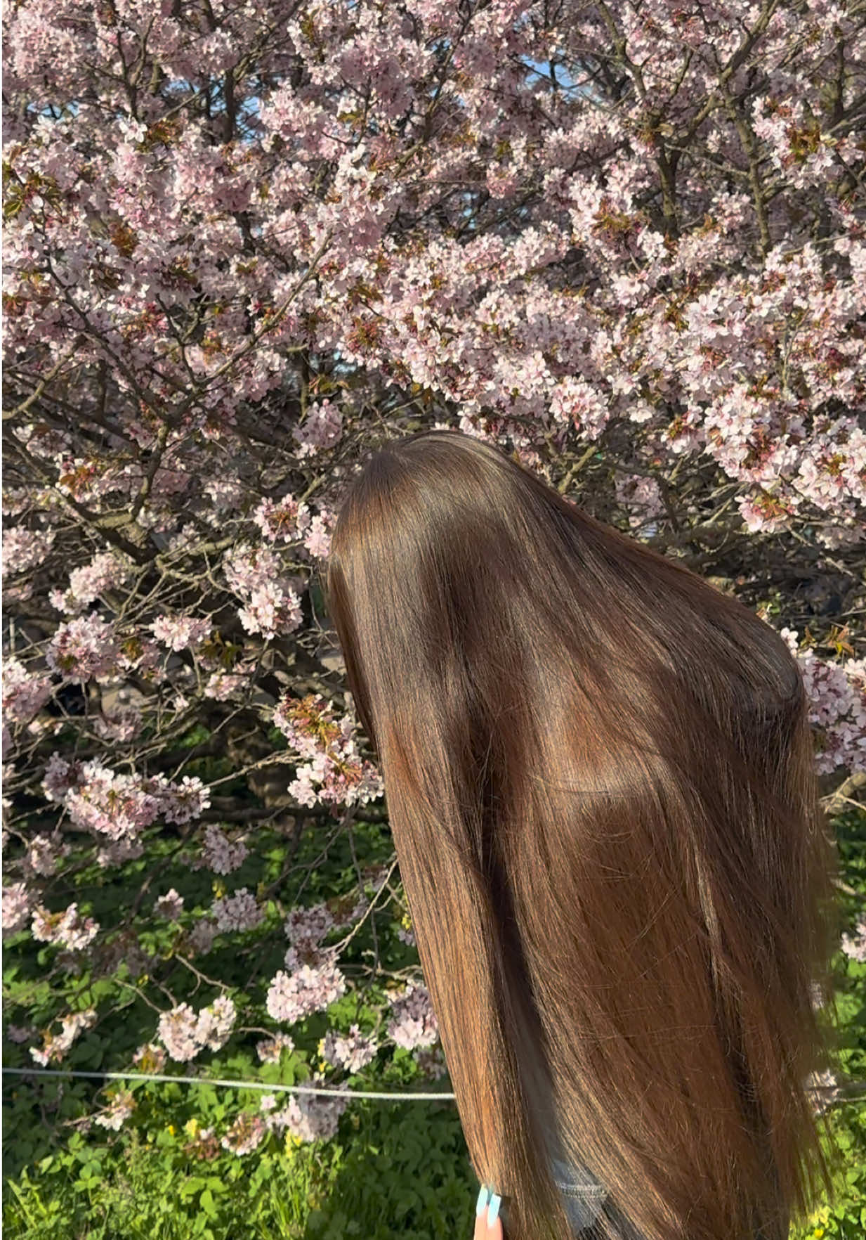 @oleckaa ⋆˚𝜗𝜚˚