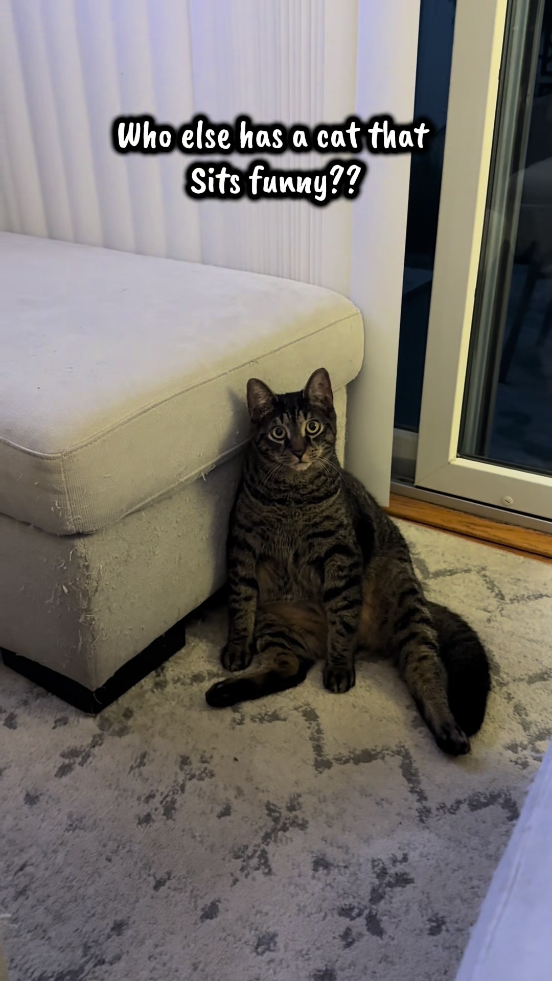 @TailsandWhiskersCo