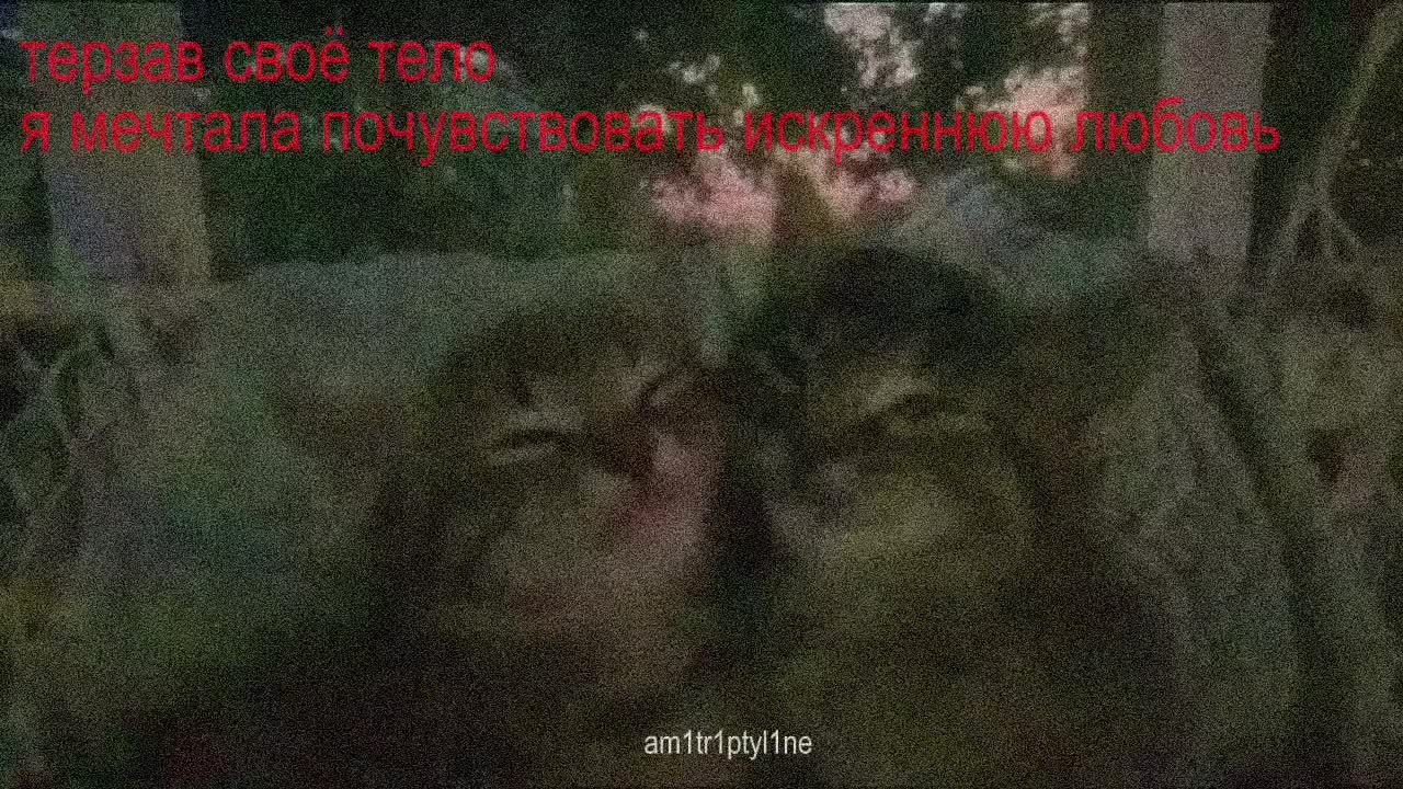 @𝘁𝗵𝗲 𝗿𝗼𝘁𝘁𝗶𝗻𝗴 𝗯𝗼𝗱𝘆