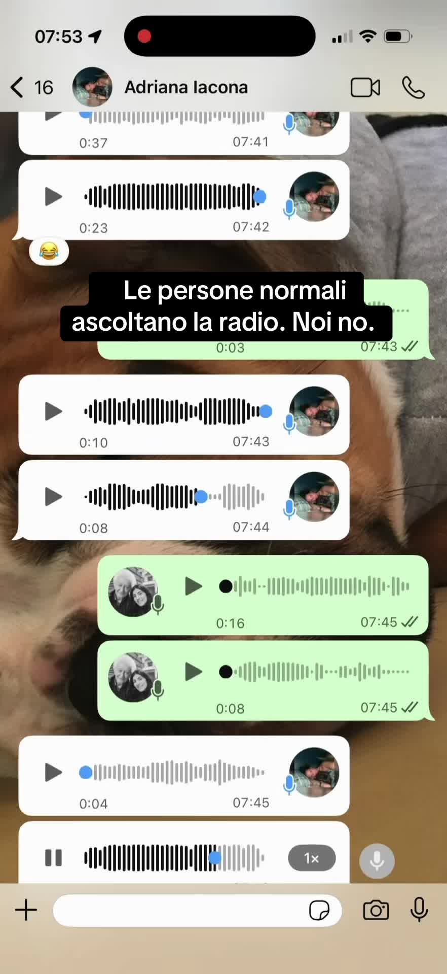 @Sara Talarico