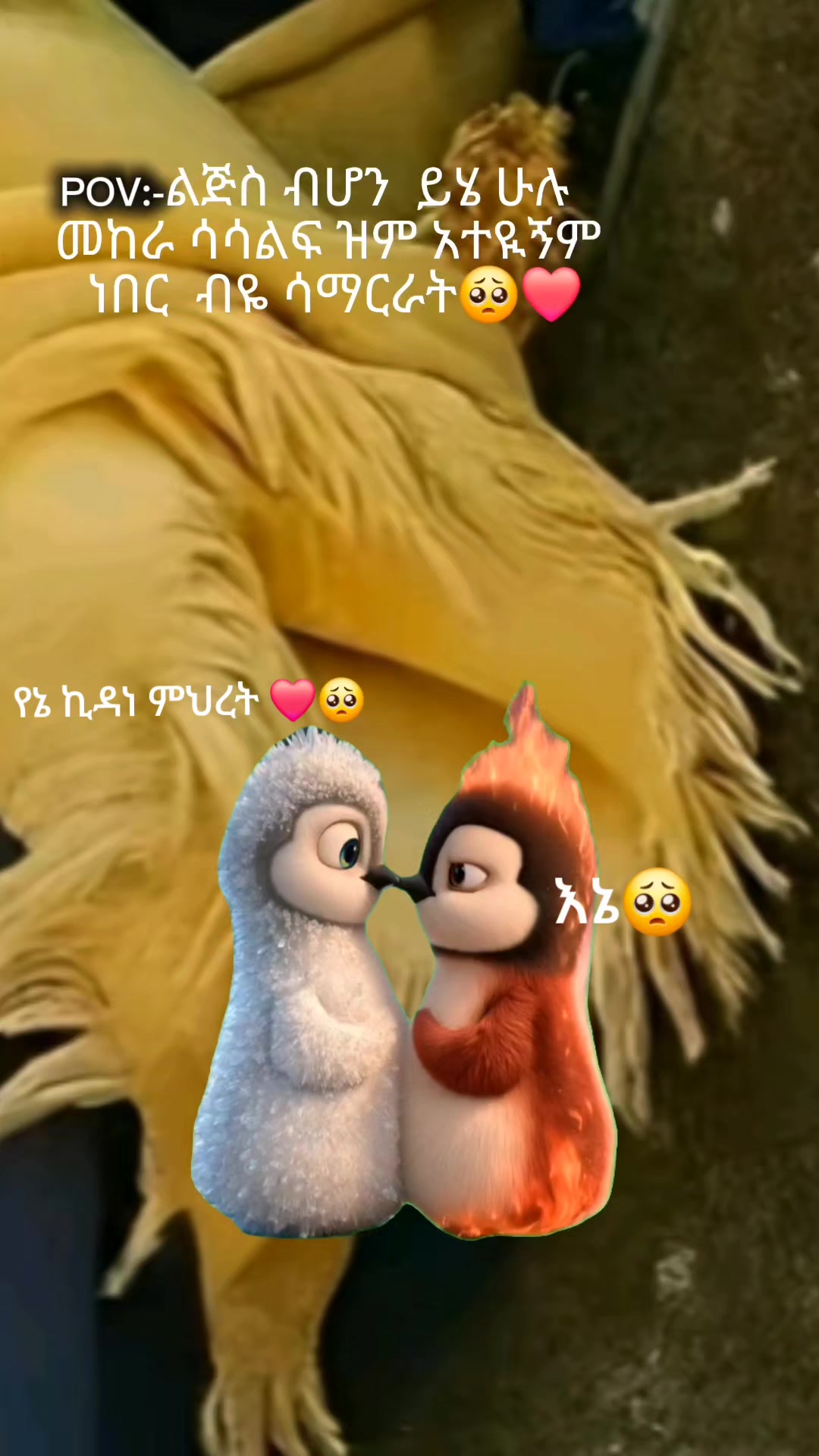 @አዛርያ
