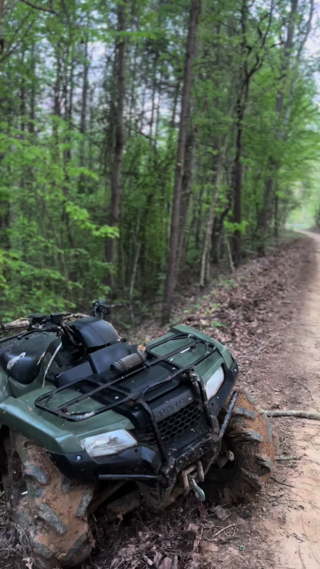 @𝕃𝕠𝕘𝕒𝕟🌾