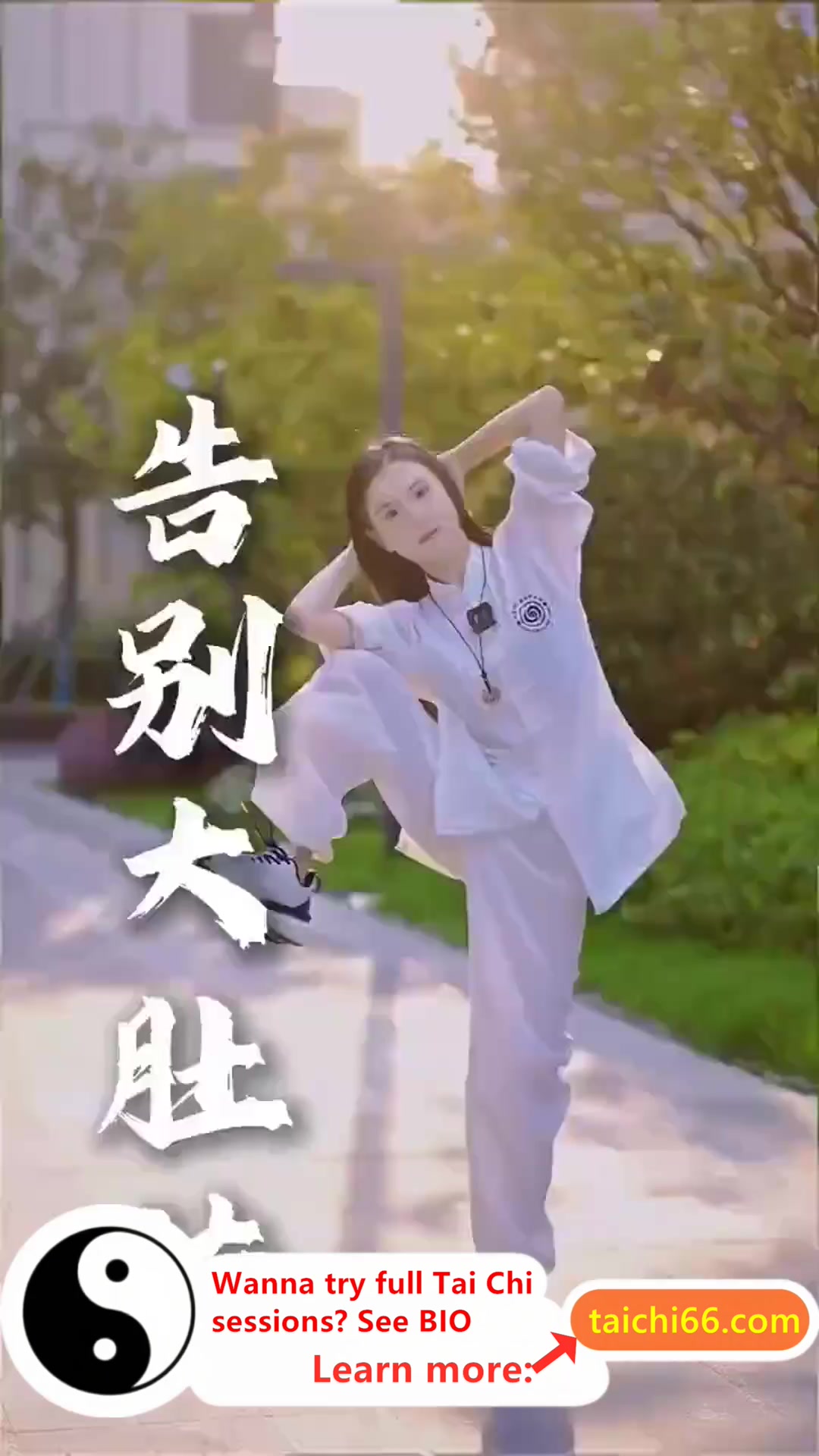 @HuaKai Taichi